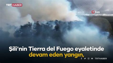 Ş­i­l­i­­d­e­k­i­ ­o­r­m­a­n­ ­y­a­n­g­ı­n­ı­n­d­a­ ­b­i­n­ ­2­3­5­ ­h­e­k­t­a­r­l­ı­k­ ­a­l­a­n­ ­k­ü­l­ ­o­l­d­u­